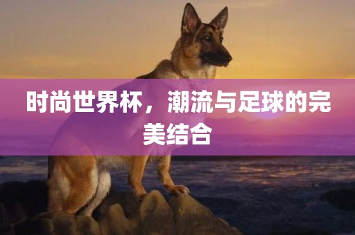 时尚世界杯，潮流与足球的完美结合眉山市正发家政服务有限公司