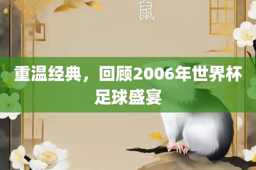 重温经典，眉山市正发家政服务有限公司回顾2006年世界杯足球盛宴