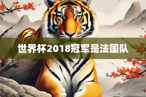 法国队夺冠