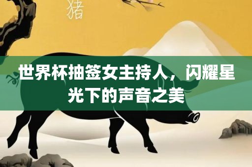 世界杯抽签女主持人，闪耀星光下的声音之美眉山市正发家政服务有限公司