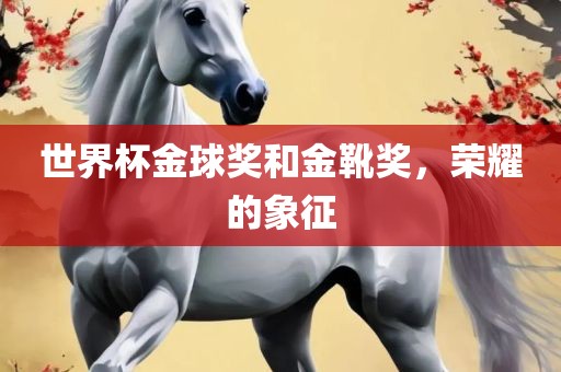 世界杯金球奖和金靴奖，荣耀的象征