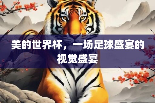 美的世界杯，一场足球盛宴的视觉盛宴