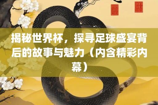 揭秘世界杯，探寻足球盛宴背后的故事与魅力（内含精彩内幕）眉山市正发家政服务有限公司