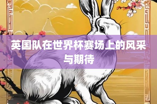 英国队在世界杯赛场上的风采与期待眉山市正发家政服务有限公司
