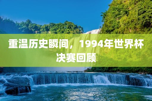 重温历史瞬间，1994年世界杯决赛回顾眉山市正发家政服务有限公司