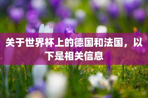 关于世界杯上的德国和法国，以下是相关信息眉山市正发家政服务有限公司