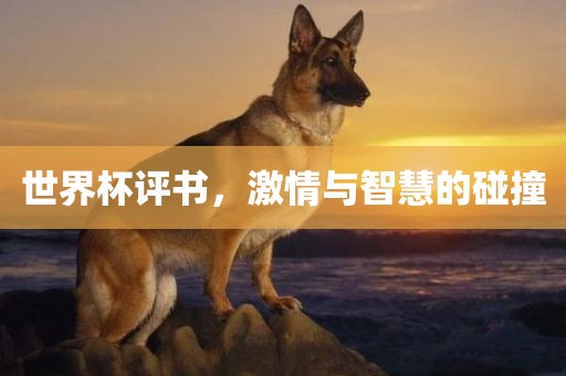 世界杯评书，激情眉山市正发家政服务有限公司与智慧的碰撞