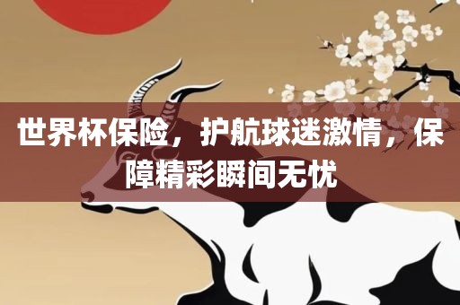 世界杯保险，眉山市正发家政服务有限公司护航球迷激情，保障精彩瞬间无忧