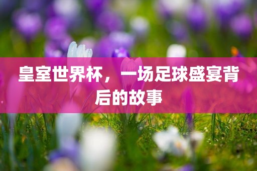 皇室世界杯，一场足球盛宴背后的故事