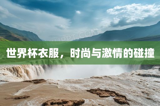 世界杯衣服，时尚与激情的碰撞眉山市正发家政服务有限公司