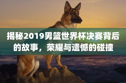 揭秘2019男篮世界杯决赛背后的故事，荣耀与遗憾的碰撞眉山市正发家政服务有限公司