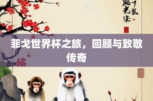 菲戈世界杯之旅，回顾与致敬传奇眉山市正发家政服务有限公司