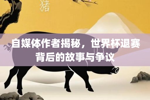 自媒体作者揭秘，世界杯退赛背后的故事与争议