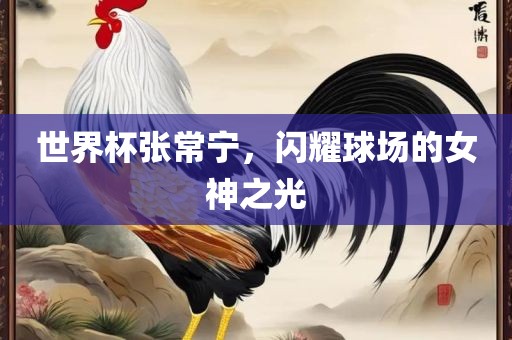 世界杯张常宁，闪耀球场的女神之光眉山市正发家政服务有限公司