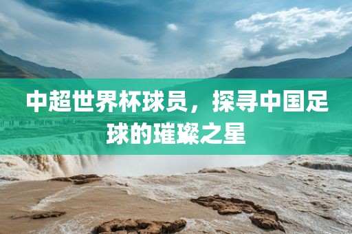 中超世界杯球员，探寻中国足球的璀璨之星眉山市正发家政服务有限公司