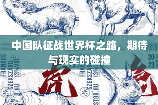 中国队征战世界杯之路，期待与现实的碰撞