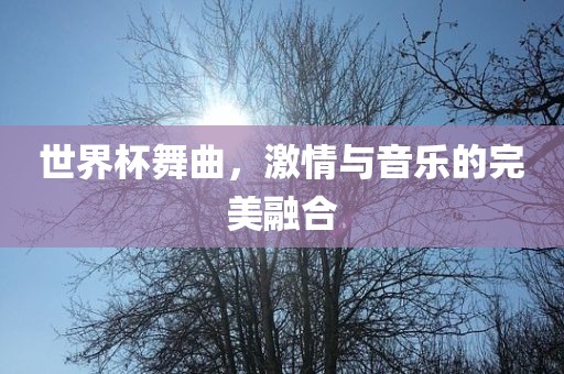 世界杯舞曲，激情与音乐的完美融合眉山市正发家政服务有限公司