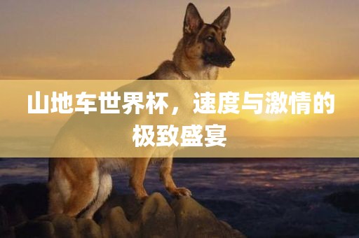 山地车世界杯，速度与激情的极致盛宴