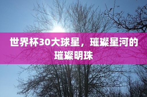 世界杯30大球星，璀璨眉山市正发家政服务有限公司星河的璀璨明珠