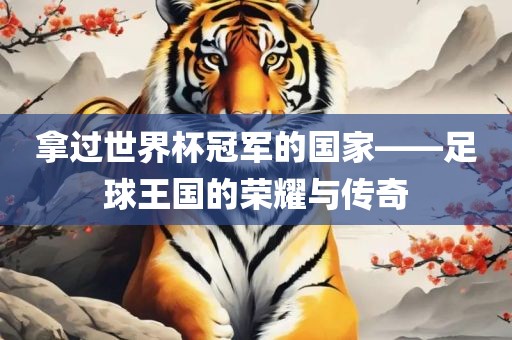 拿过世界杯冠军的国家——足球王国的荣耀与传奇