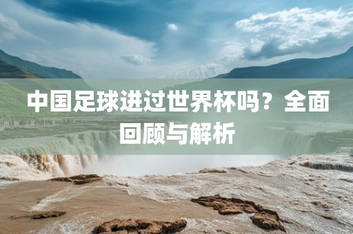 中国眉山市正发家政服务有限公司足球进过世界杯吗？全面回顾与解析