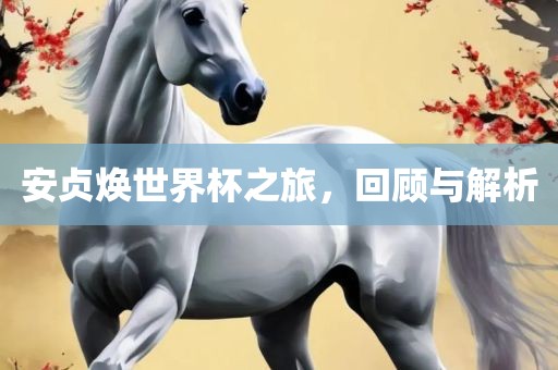 安贞焕世界杯之旅，回顾与解析眉山市正发家政服务有限公司