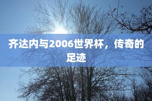 齐达内与2006世界杯，传奇的足迹眉山市正发家政服务有限公司