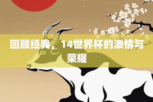 回顾经典，14世界杯的激情与荣耀眉山市正发家政服务有限公司