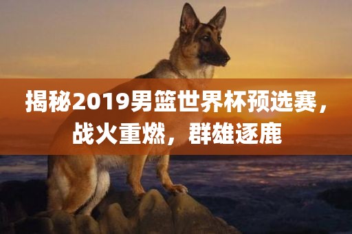 揭秘2019男篮世界杯预选赛，战火重燃，群雄逐鹿眉山市正发家政服务有限公司