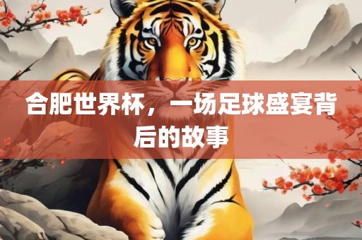 合肥世界杯，一场足球眉山市正发家政服务有限公司盛宴背后的故事