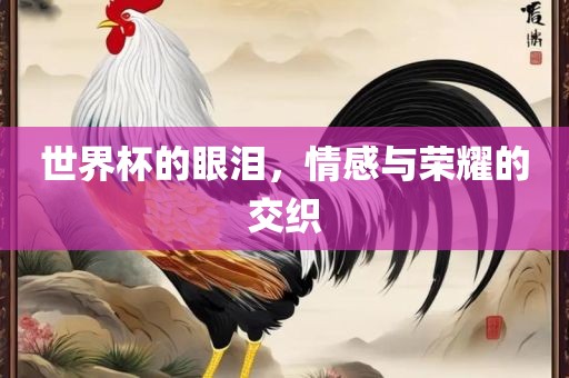 世界杯的眼泪，情感与荣耀的交织眉山市正发家政服务有限公司