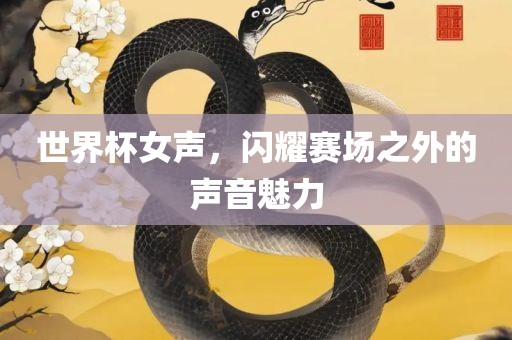 世界杯女声，闪耀赛场之外的声音魅力眉山市正发家政服务有限公司
