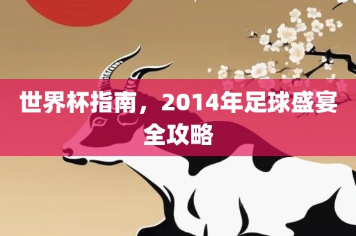 世界杯指南，2014年足球盛宴全攻略眉山市正发家政服务有限公司