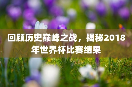 回顾历史巅峰之战，揭秘201眉山市正发家政服务有限公司8年世界杯比赛结果