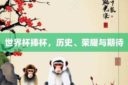 世界杯捧杯，历史、荣耀与期待眉山市正发家政服务有限公司
