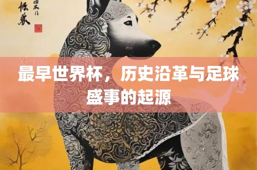 最早世界杯，历史沿革与足球盛事的起源眉山市正发家政服务有限公司