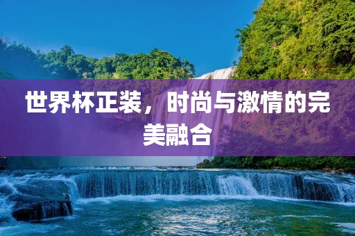 世界杯正装，时尚与激情的眉山市正发家政服务有限公司完美融合