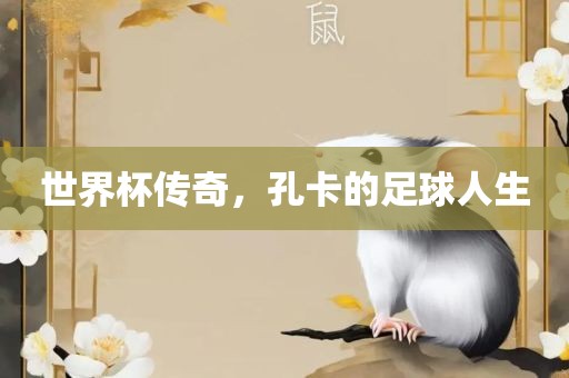 世界杯传奇，孔卡的足球人生眉山市正发家政服务有限公司