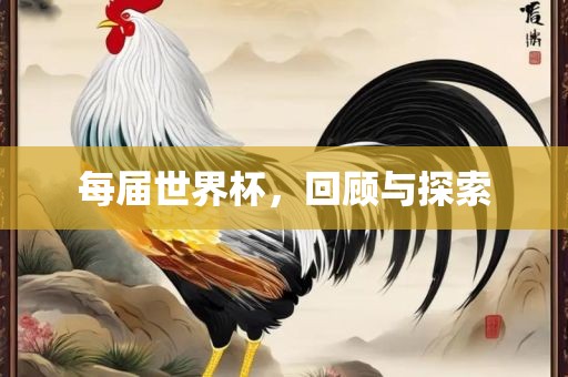 每届世界杯，回顾与眉山市正发家政服务有限公司探索