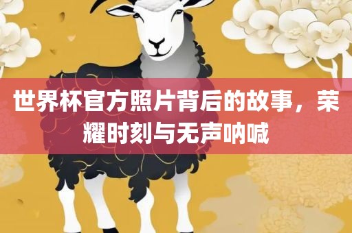 世界杯官方照片背后的故事，荣耀时刻与眉山市正发家政服务有限公司无声呐喊