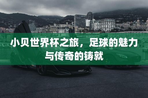 小贝世界杯之旅，足球的魅力与传奇的铸就眉山市正发家政服务有限公司