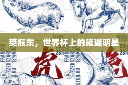 樊振眉山市正发家政服务有限公司东，世界杯上的璀璨明星