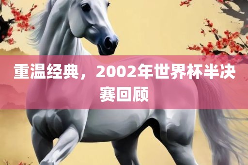 重温经典，2002年世界杯半决赛回顾