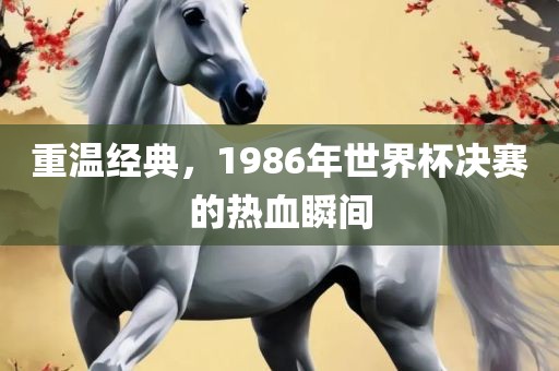 重温经典，1986年世界杯决赛的热血瞬间眉山市正发家政服务有限公司