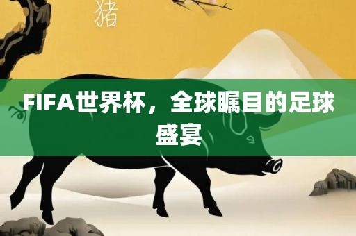 足球盛宴 第13页
