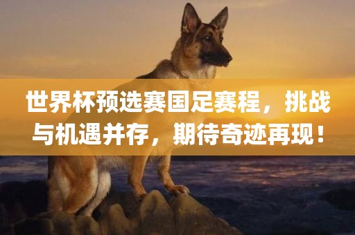 世界杯预选赛国足赛程，挑战与机遇并存，期待奇迹再现！眉山市正发家政服务有限公司