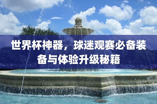世界杯神器，球迷观赛必备装备与体验升级秘籍眉山市正发家政服务有限公司