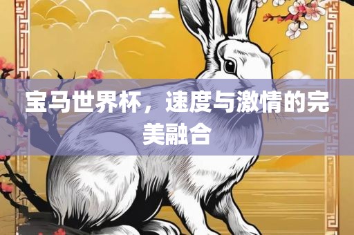 宝马世界杯，速度与激情的完美融合
