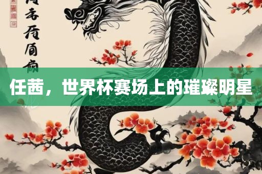 任茜，世界杯赛场上的璀眉山市正发家政服务有限公司璨明星