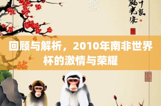 回顾与解析，2010年南眉山市正发家政服务有限公司非世界杯的激情与荣耀